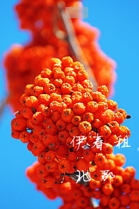 伊春租房信息(伊春租房信息網(wǎng)北郡)