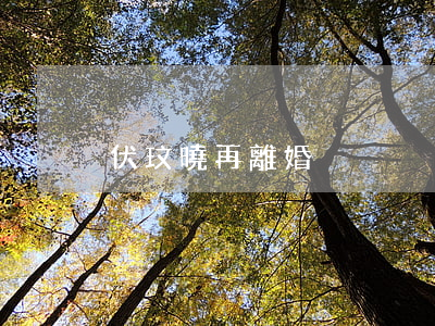 伏玟曉再離婚