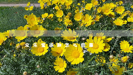 众乐宝逾期怎么回事
