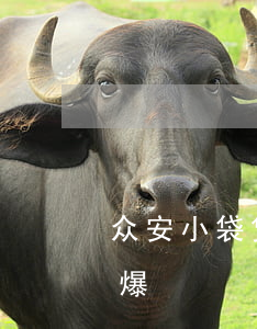 众安小袋贷款逾期会爆（众安小袋贷款逾期会爆）