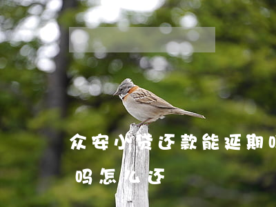 众安小贷还款能延期吗 众安小贷还款能延期吗怎么还