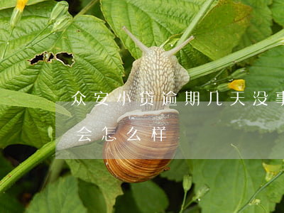 众安小贷逾期几天没事了吗(众安小贷逾期了会怎么样)