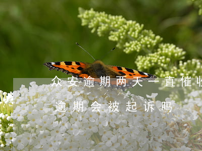 众安逾期两天一直催收怎么办(众安金融贷款逾期会被起诉吗)