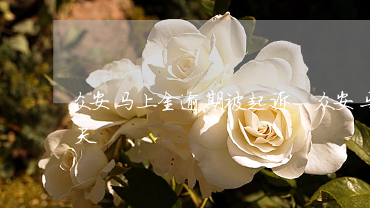 众安马上金逾期被起诉-众安马上金逾期一天