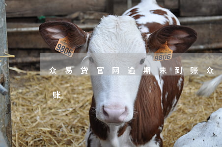 众易贷官网逾期未到账(众易贷官网逾期未到账)