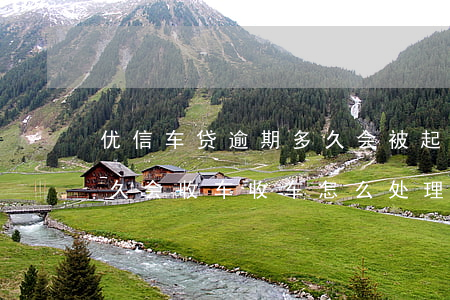 优信车贷逾期多久会被起诉(优信车贷逾期多久会收车,收车怎么处理)