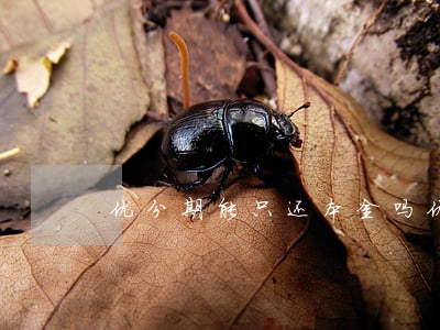 优分期能只还本金吗(优分期利息高吗)