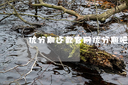 优分期还款官网(优分期吧)