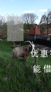 优惠花说逾期两年（惠花花逾期2天还完后还能借吗）