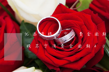 优选借钱苏宁消费金逾期40多天-优选借钱苏宁消费金逾期40多天怎么办