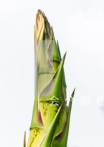 会分期租房逾期-会分期租房逾期