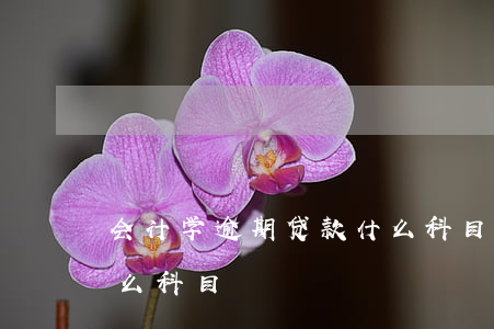 会计学逾期贷款什么科目(会计学逾期贷款什么科目)