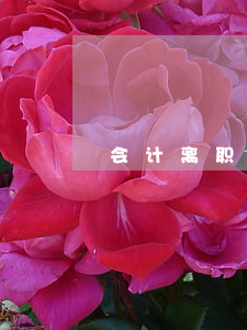 会计离职不交接犯法吗