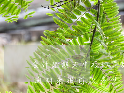 会计逾期未申报的罚款怎么收费(一般纳税人逾期未报罚款多少)