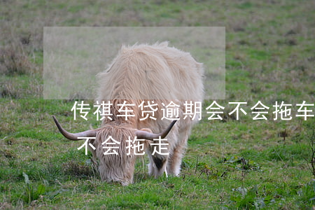 传祺车贷逾期会不会拖车(汽车欠贷款逾期会不会拖走)