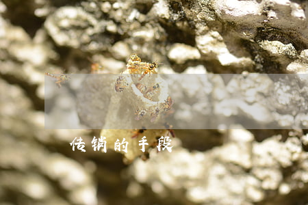 传销的手段