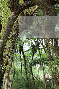 伤残补助金赔偿标准