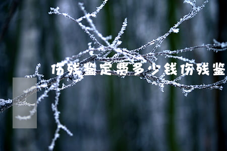 伤残鉴定费多少钱(伤残鉴定费收取标准)