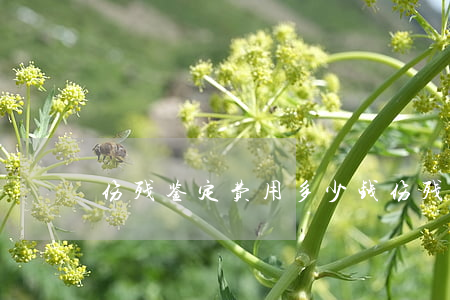 伤残鉴定费用多少钱(伤残鉴定费用多少钱)
