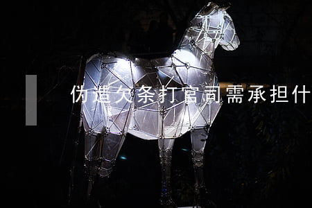 伪造欠条打官司需承担什么责任