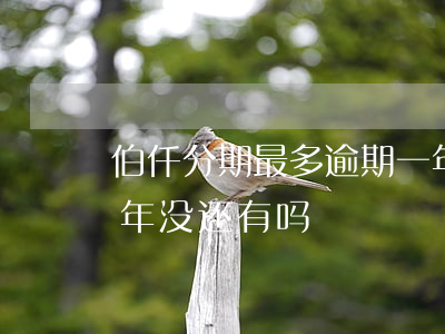 伯仟分期最多逾期一年(有没有欠佰仟分期几年没还有吗)