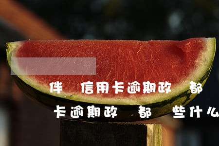 伴侶信用卡逾期政審都審些什么-伴侶信用卡逾期政審都審些什么