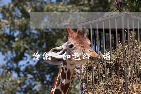 伶俐醬和老公離婚