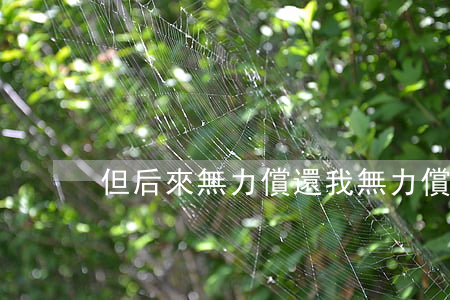 但后來無力償還 我無力償還