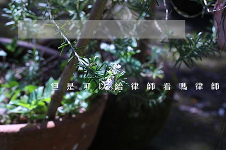 但是可以給律師看嗎(律師可以免費咨詢嗎)