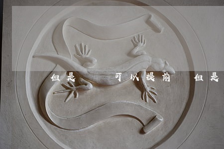 但是訴訟可以提前嗎(但是訴訟可以提前嗎)
