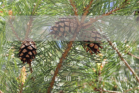 低于五萬的信用卡會被法院起訴嗎-低于五萬的信用卡會被法院起訴嗎知乎