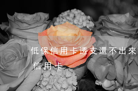 低保信用卡透支還不出來(低保人員無法償還信用卡)