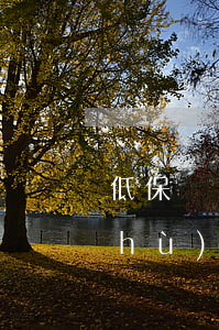 低保戶(hù)無(wú)力償還(低保戶(hù)無(wú)力償還花唄)