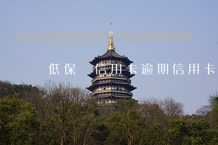 低保戶信用卡逾期（信用卡逾期能享受低保嗎）