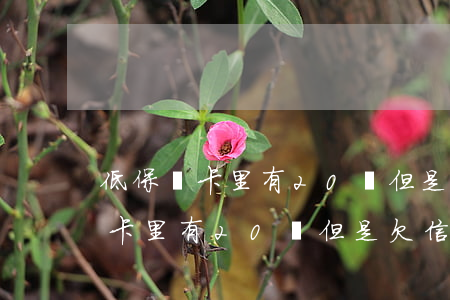 低保戶卡里有20萬但是欠信用卡-低保戶卡里有20萬但是欠信用卡怎么辦