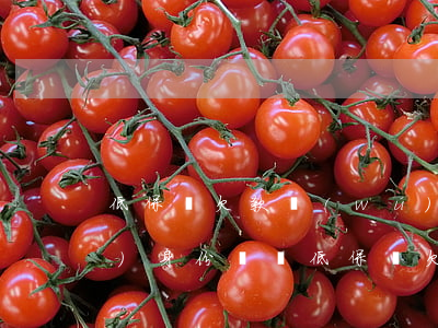 低保戶欠款無(wú)力償還凍結(jié)身份證嗎(低保戶欠錢無(wú)力償還怎么辦)