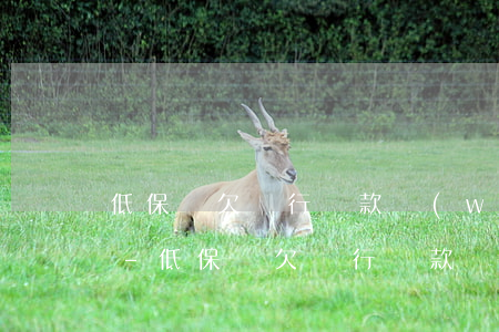 低保戶欠銀行貸款無(wú)力償還怎么辦-低保戶欠銀行貸款無(wú)力償還怎么辦理