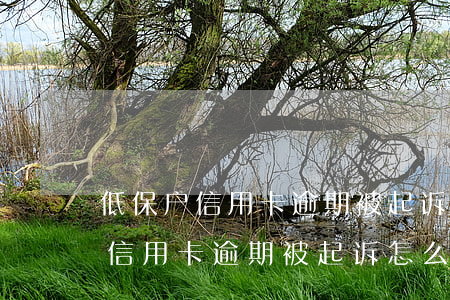 低保户信用卡逾期被起诉怎么办啊-低保户信用卡逾期被起诉怎么办啊怎么解决