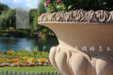 低保户撞伤人没钱赔怎么办(低保户被撞怎么赔偿呢)