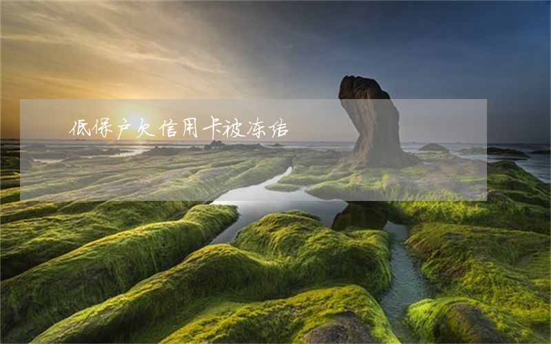 低保户欠信用卡被冻结
