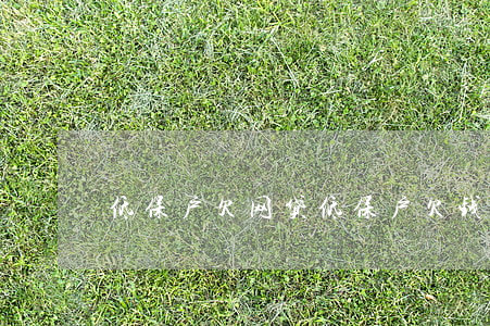 低保户欠网贷(低保户欠钱不还)