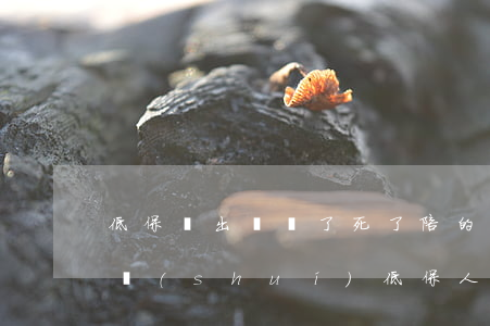 低保戸出車禍了死了陪的錢(qián)給誰(shuí)(低保人死了,還有什么錢(qián))