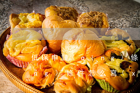 低保申請(qǐng)條件(低保申請(qǐng)條件怎么寫(xiě))