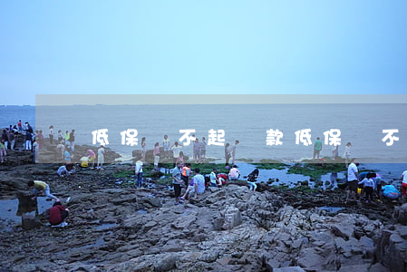 低保還不起貸款(低保還不起貸款的后果)