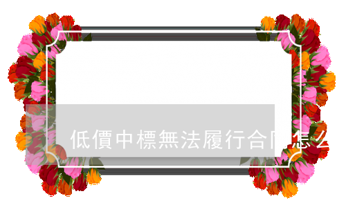 低價中標無法履行合同怎么辦