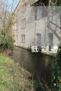 低彩禮男方隨意離婚(雙方離婚彩禮怎么處理)