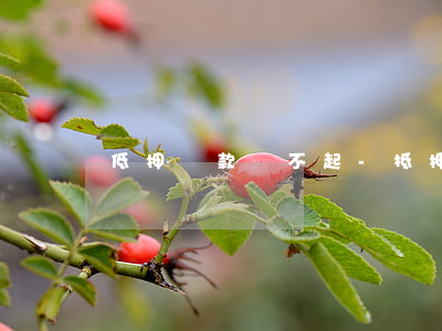 低押貸款還不起-抵押貸款還不起會坐牢嗎