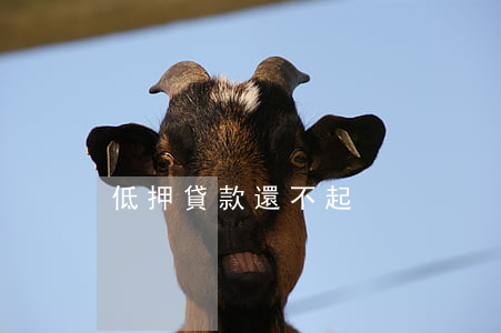 低押貸款還不起