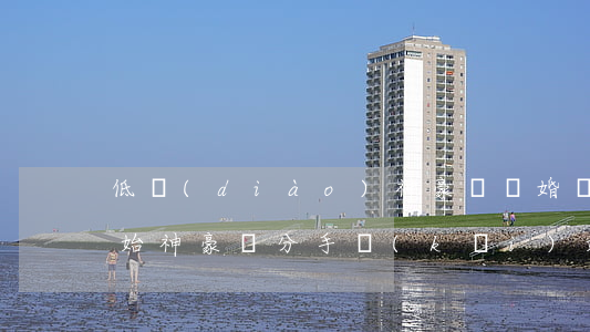 低調(diào)神豪從離婚開(kāi)始(神豪從分手開(kāi)始)