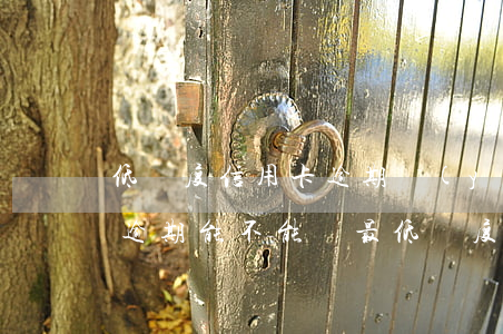 低額度信用卡逾期嚴(yán)重嗎（信用卡逾期能不能還最低額度）